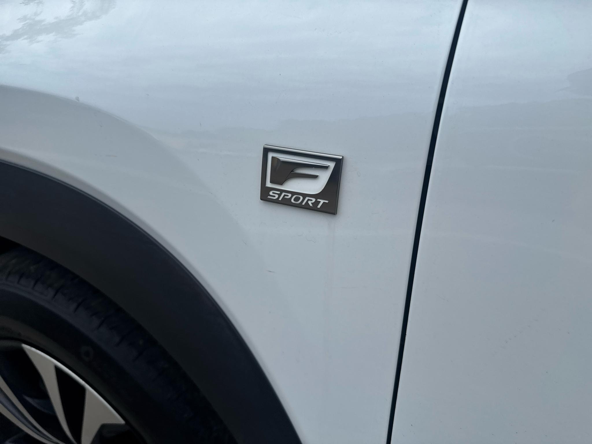 Lexus NX NX 300 F SPORT AWD 2020