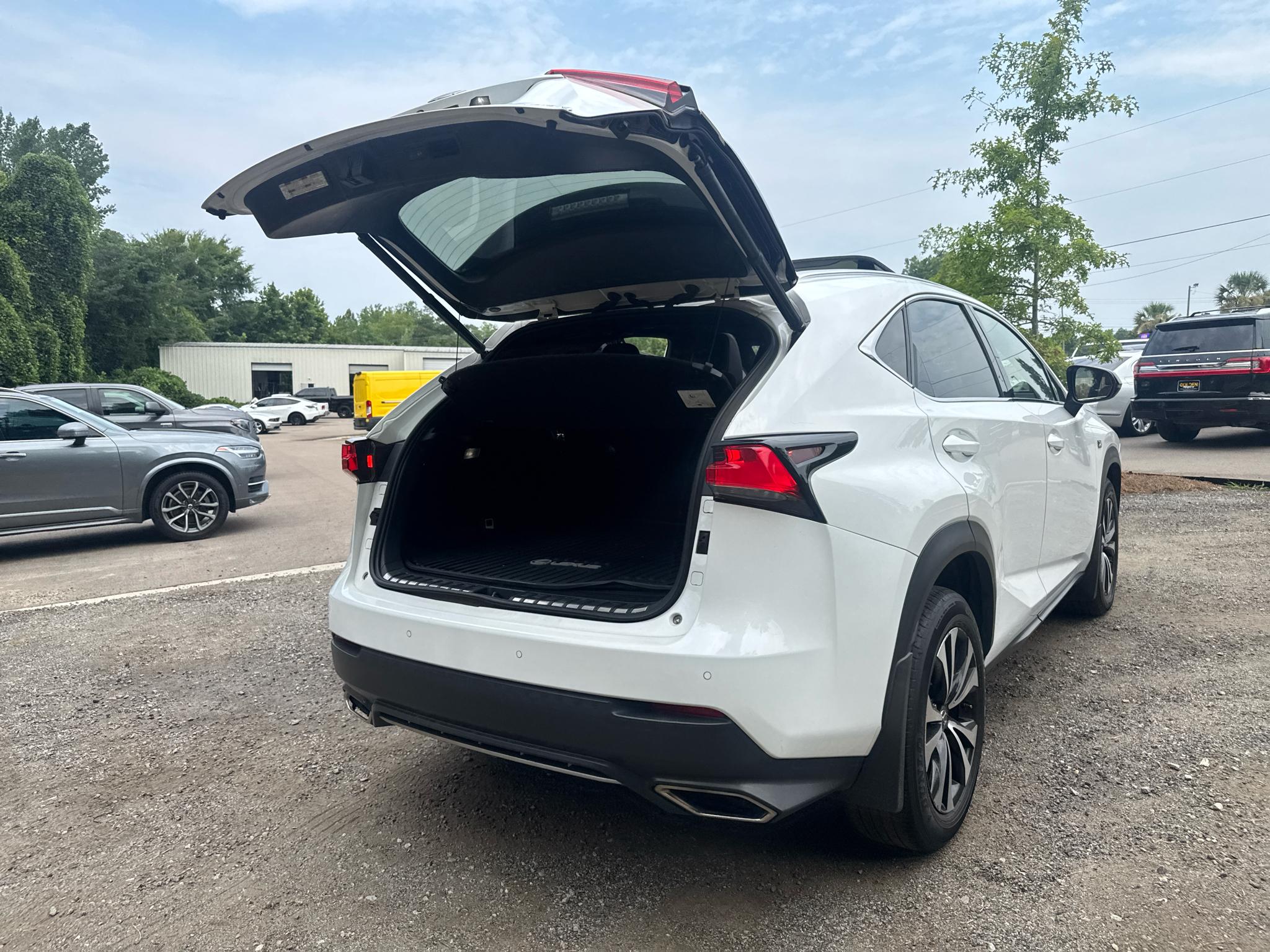 Lexus NX NX 300 F SPORT AWD 2020