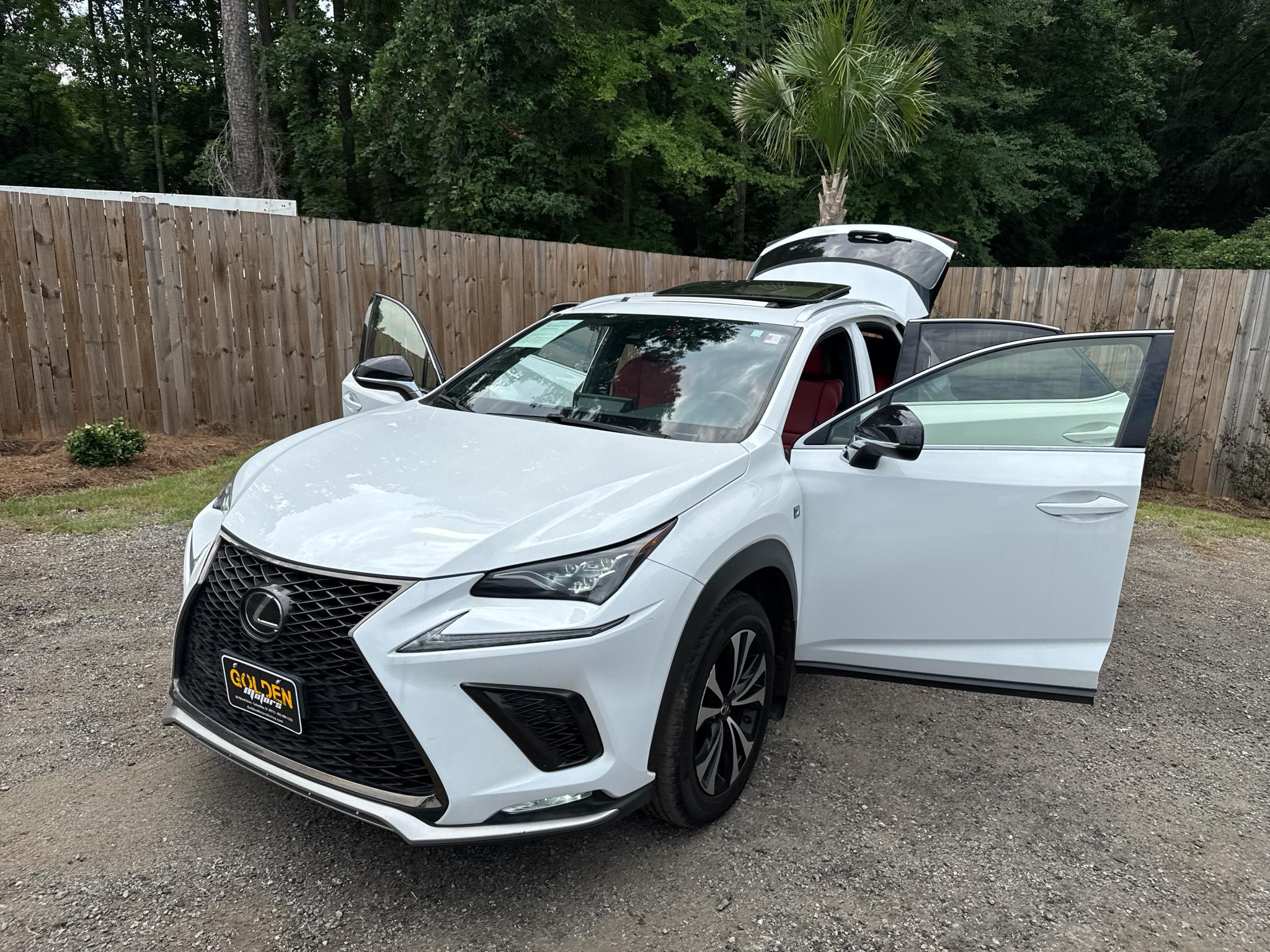 Lexus NX NX 300 F SPORT AWD 2020
