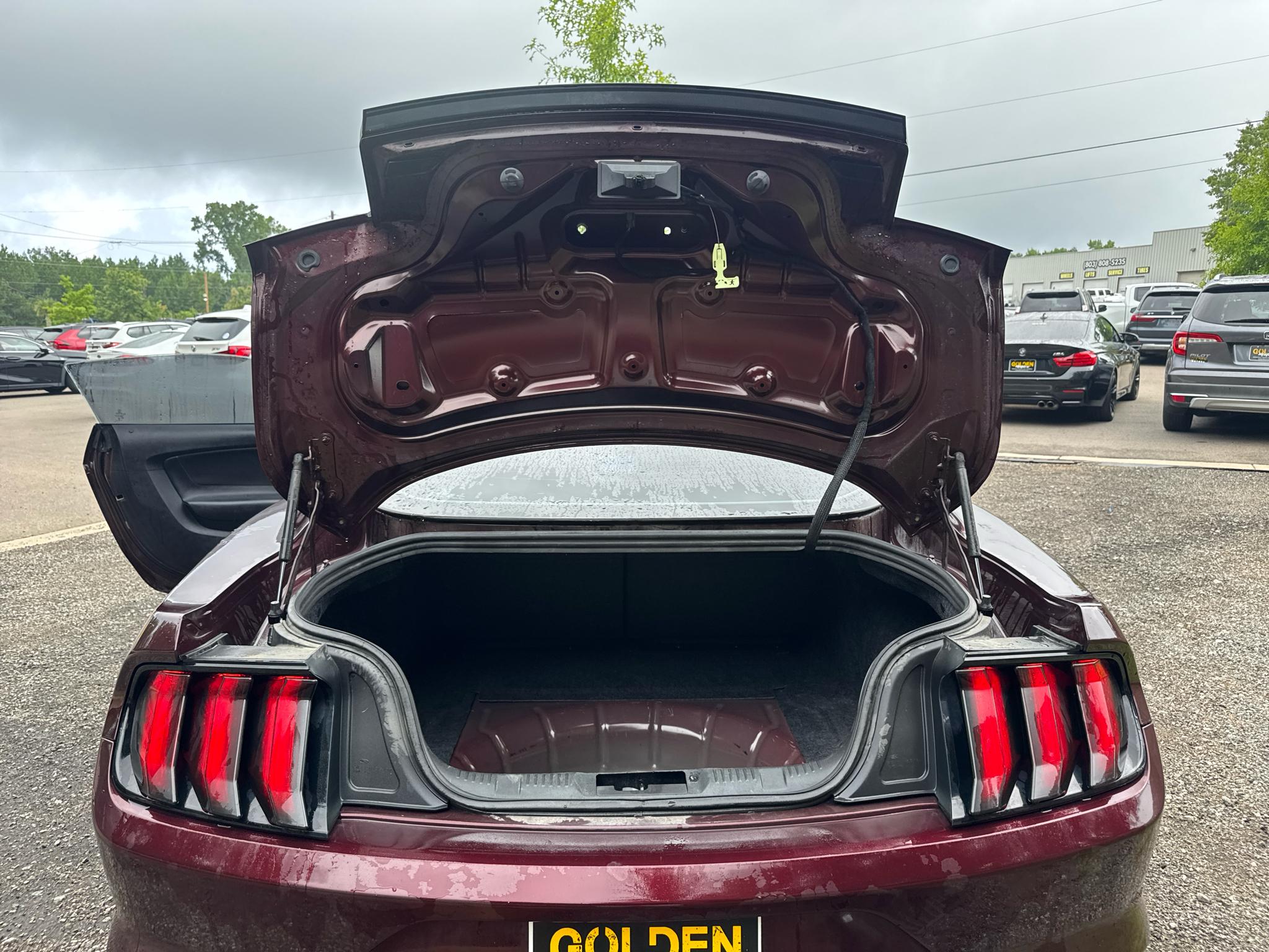 Ford Mustang GT Fastback 2018