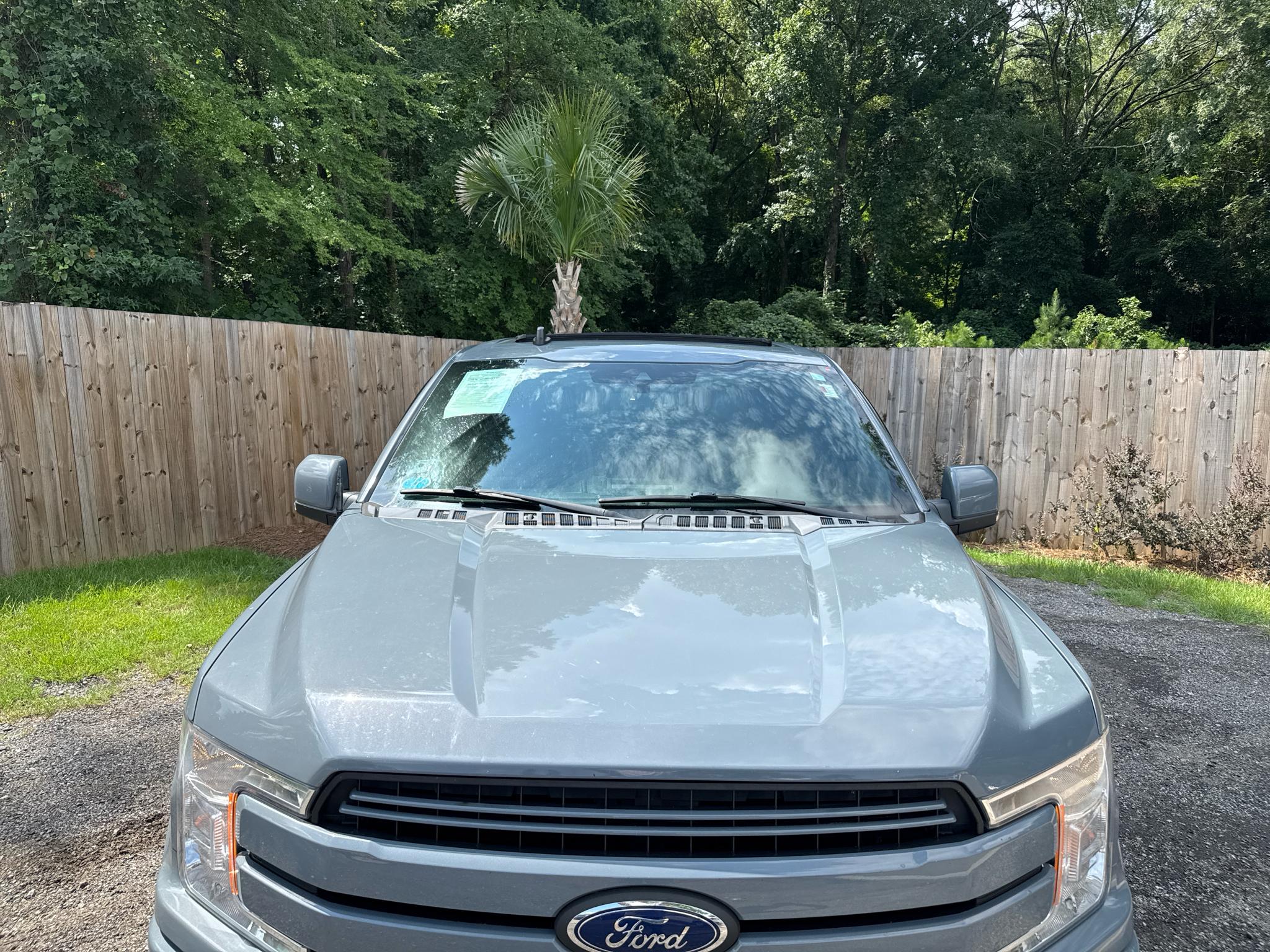Ford F-150  2019