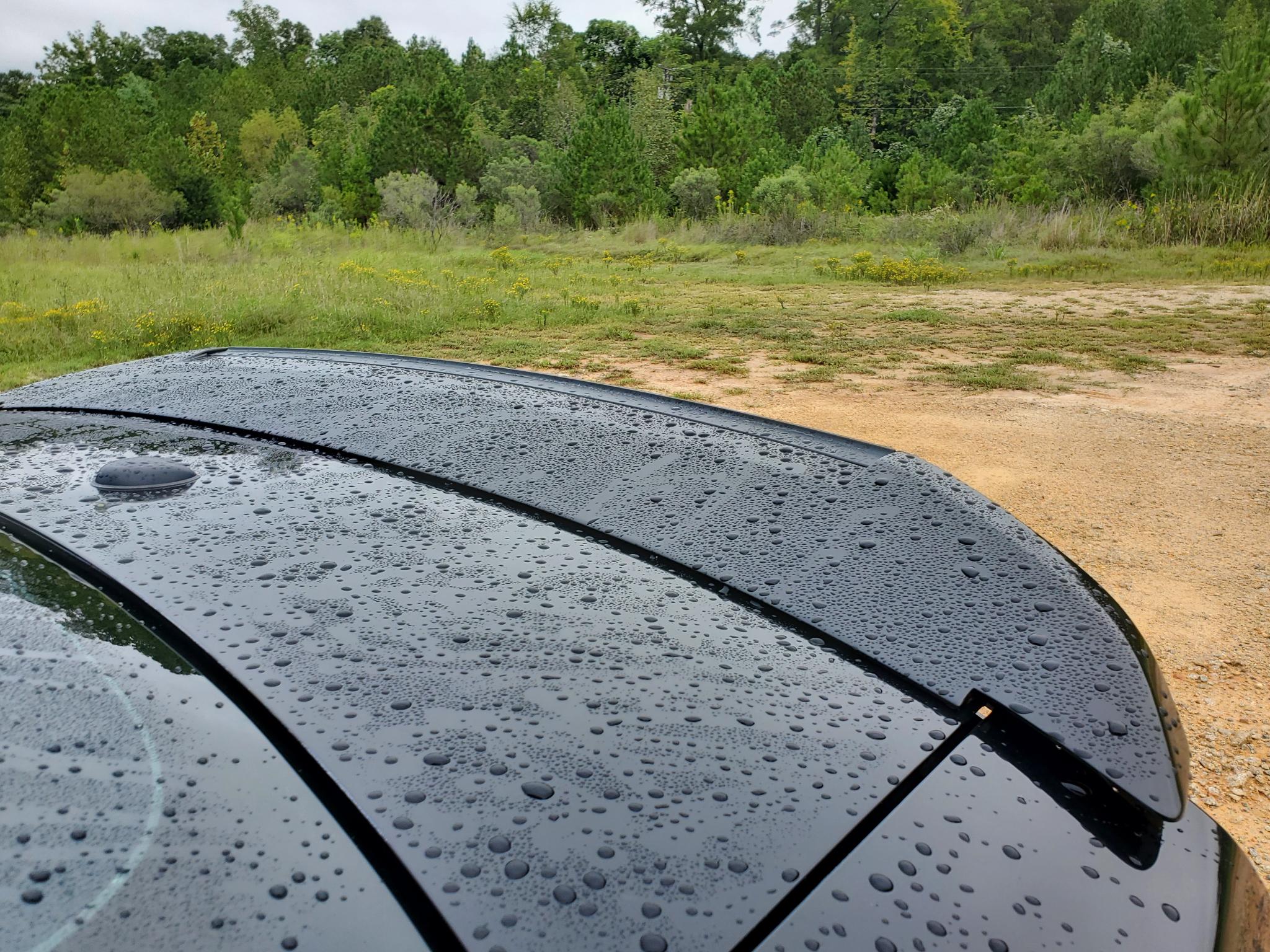 Ford Mustang  2014