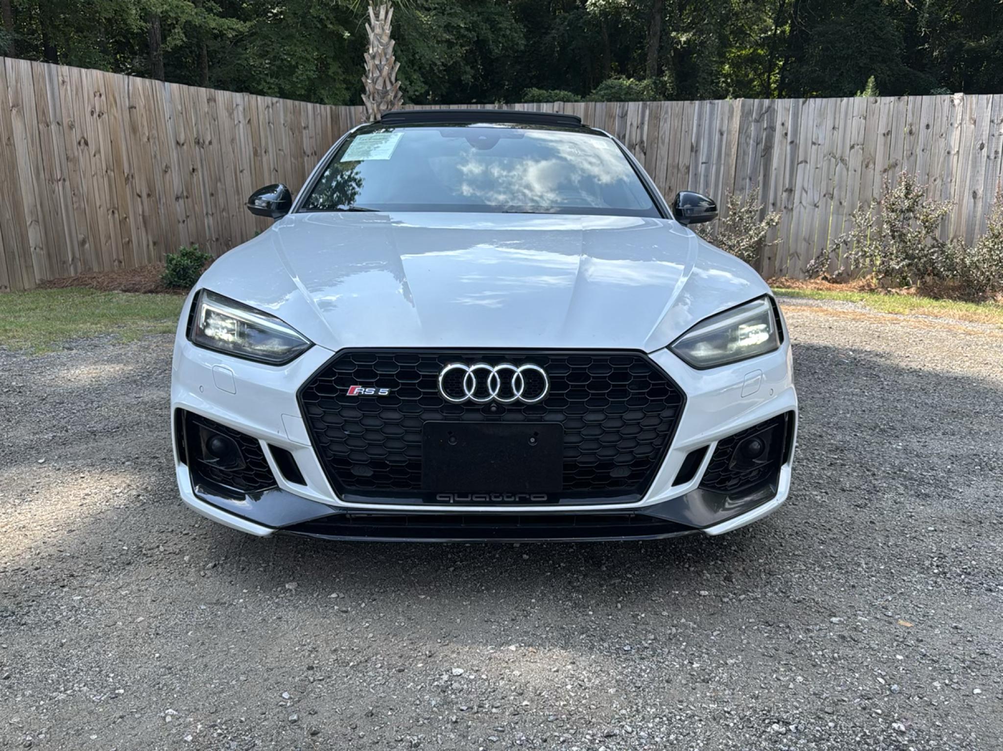 Audi RS 5 Sportback 2.9 TFSI quattro 2019
