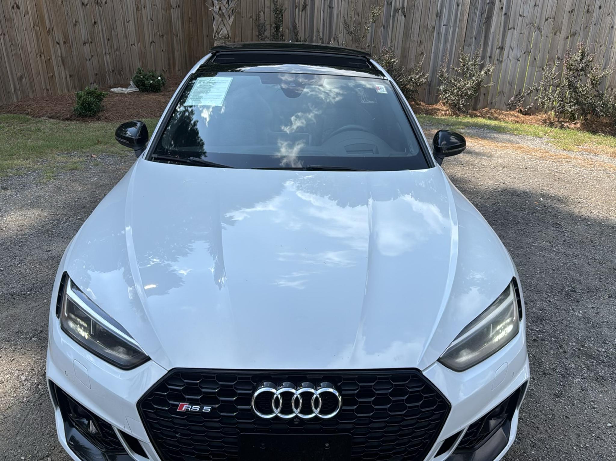 Audi RS 5 Sportback 2.9 TFSI quattro 2019