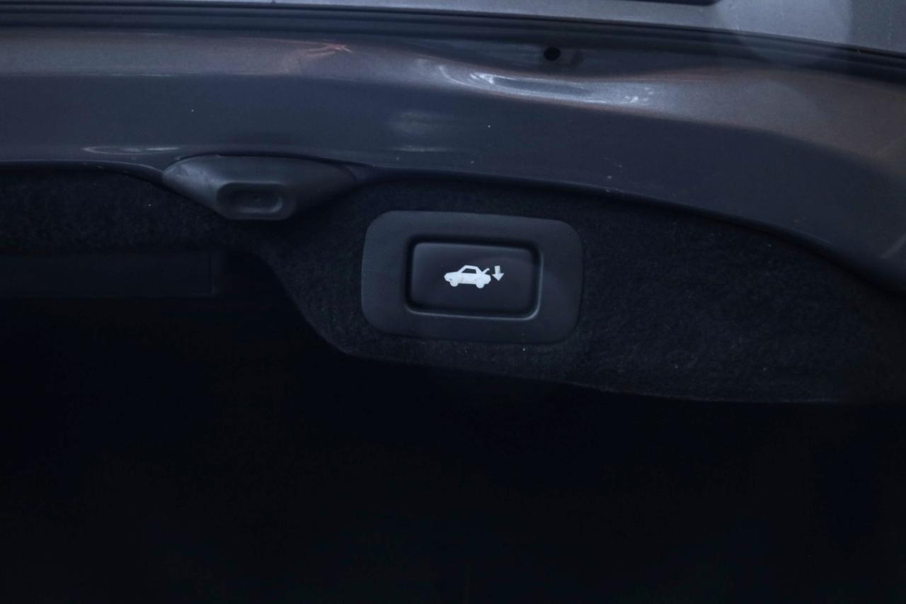 Lexus LS 460 RWD 2017