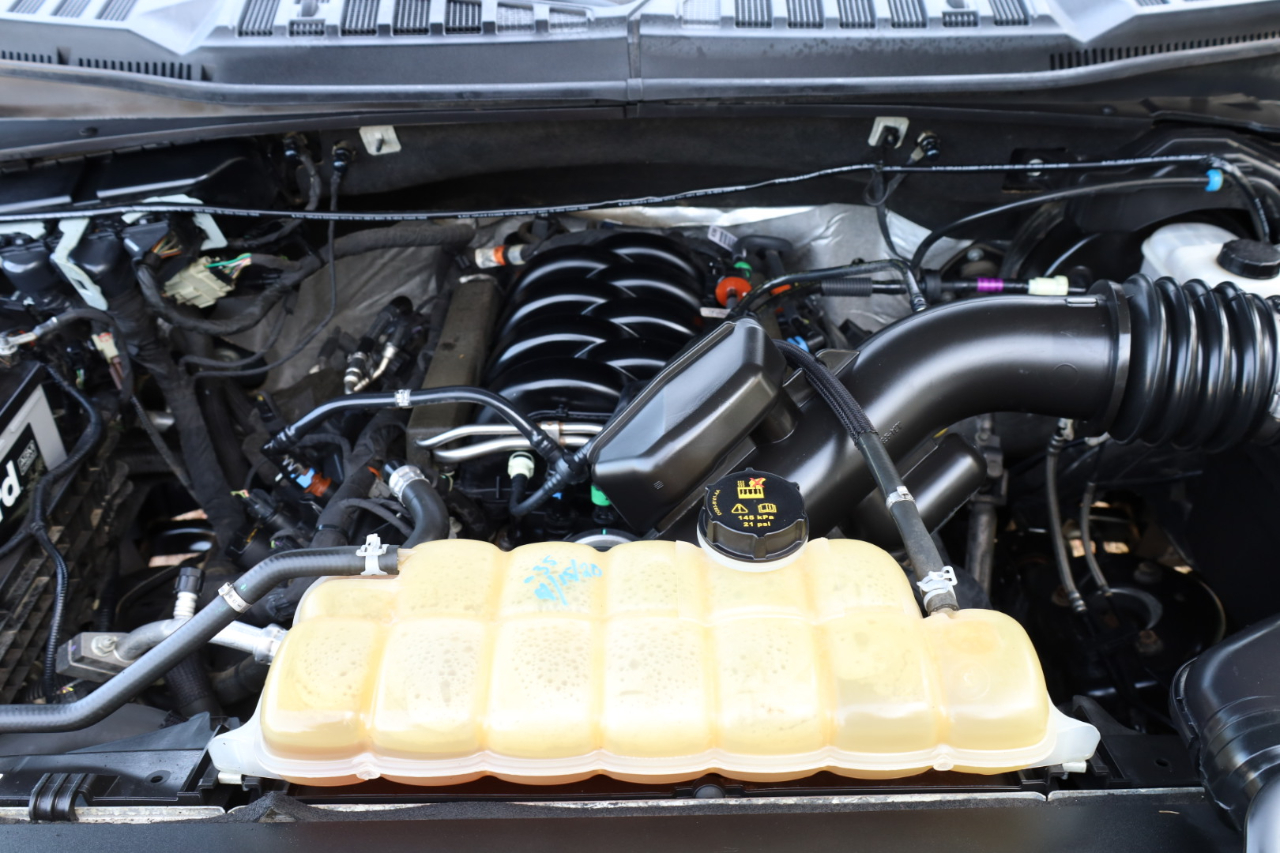 Ford F-150 XLT SuperCrew 6.5-ft. Bed 4WD 2019