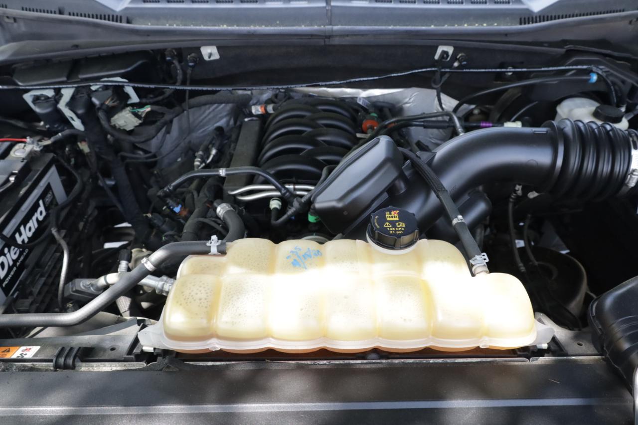 Ford F-150 XLT SuperCrew 6.5-ft. Bed 4WD 2019