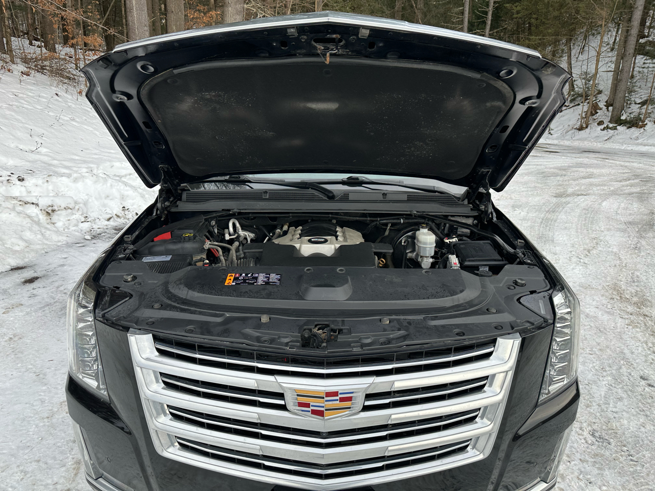Cadillac Escalade 4WD 4dr Platinum 2019