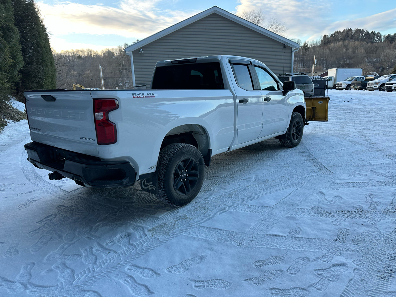 Chevrolet Silverado 1500 4WD Double Cab 147" Custom Trail Boss 2020