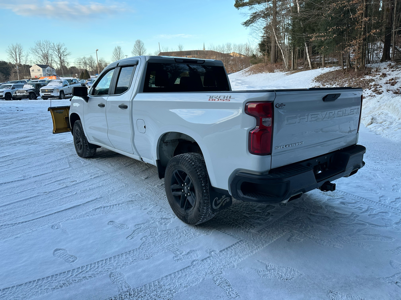 Chevrolet Silverado 1500 4WD Double Cab 147" Custom Trail Boss 2020