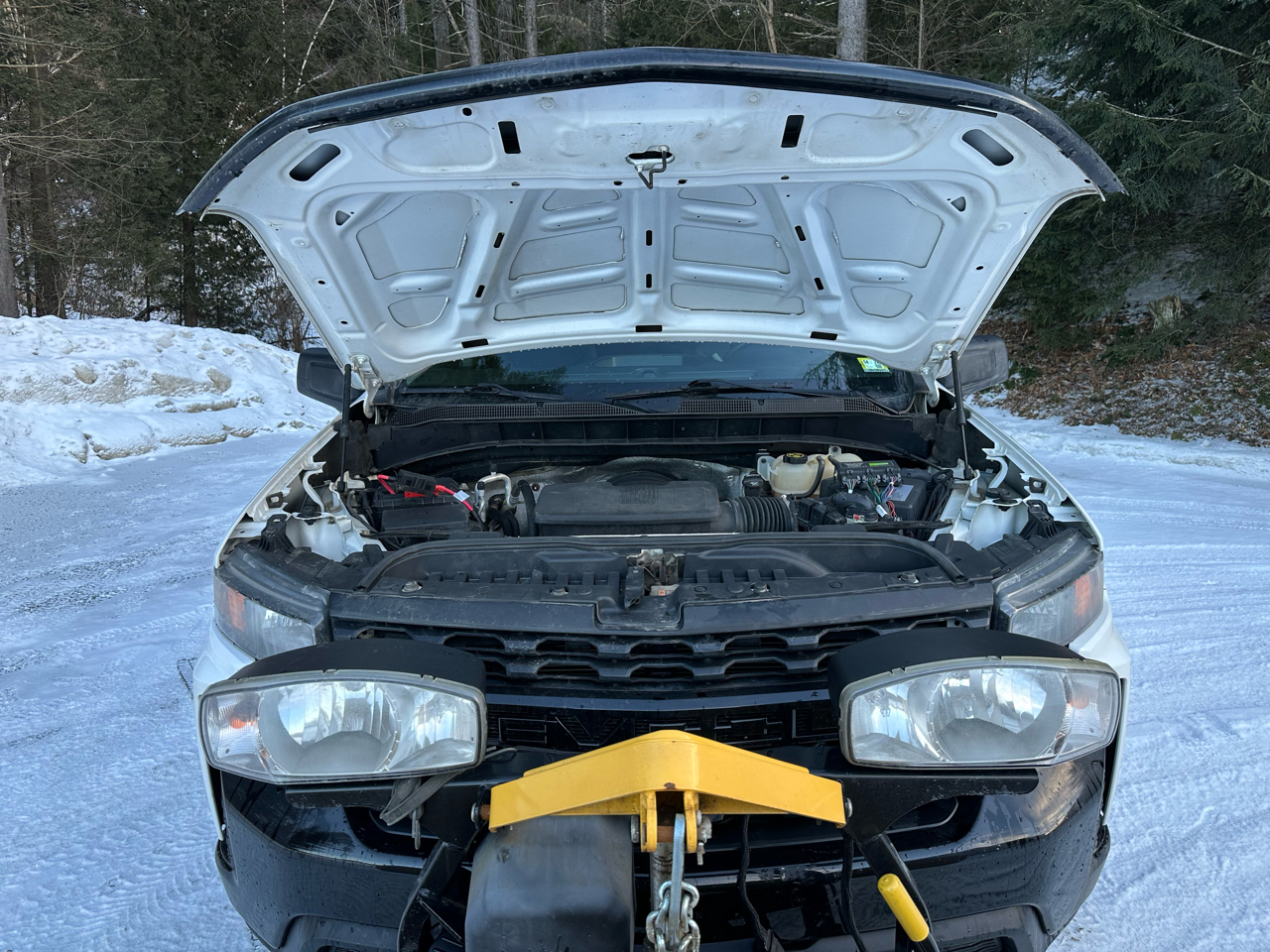 Chevrolet Silverado 1500 4WD Double Cab 147" Custom Trail Boss 2020