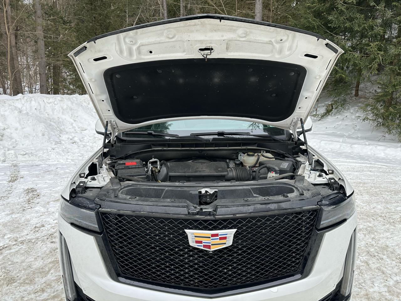 Cadillac Escalade ESV 4WD 4dr Sport 2021