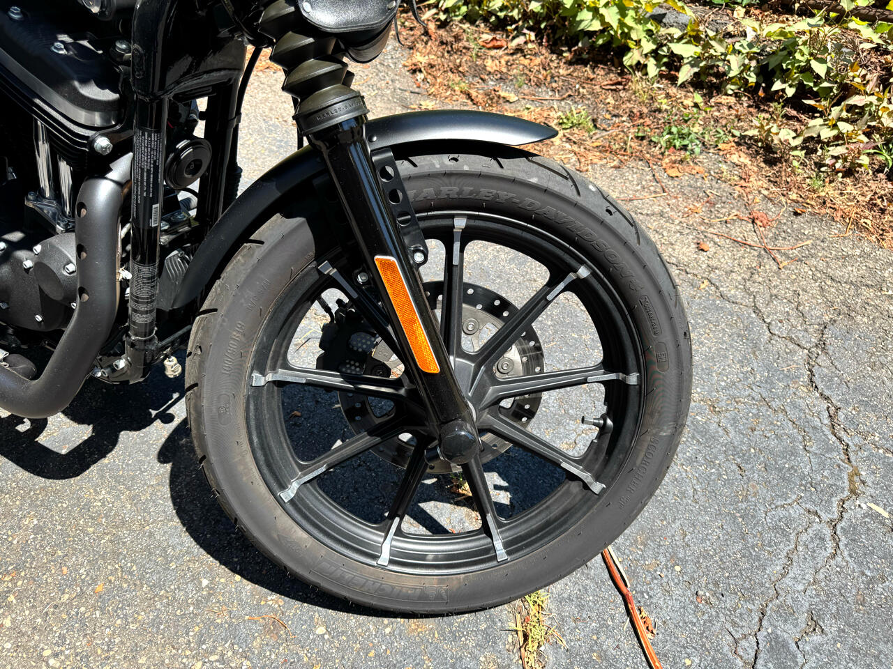 Harley-Davidson XL883N  2020 Harley-Davidson XL883N  2020