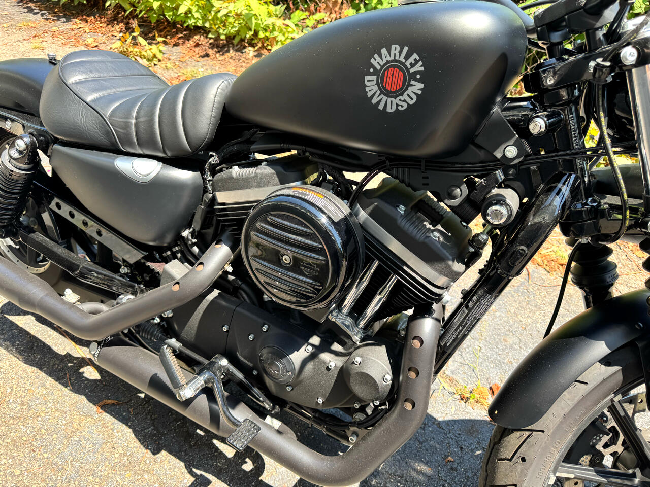 Harley-Davidson XL883N  2020 Harley-Davidson XL883N  2020