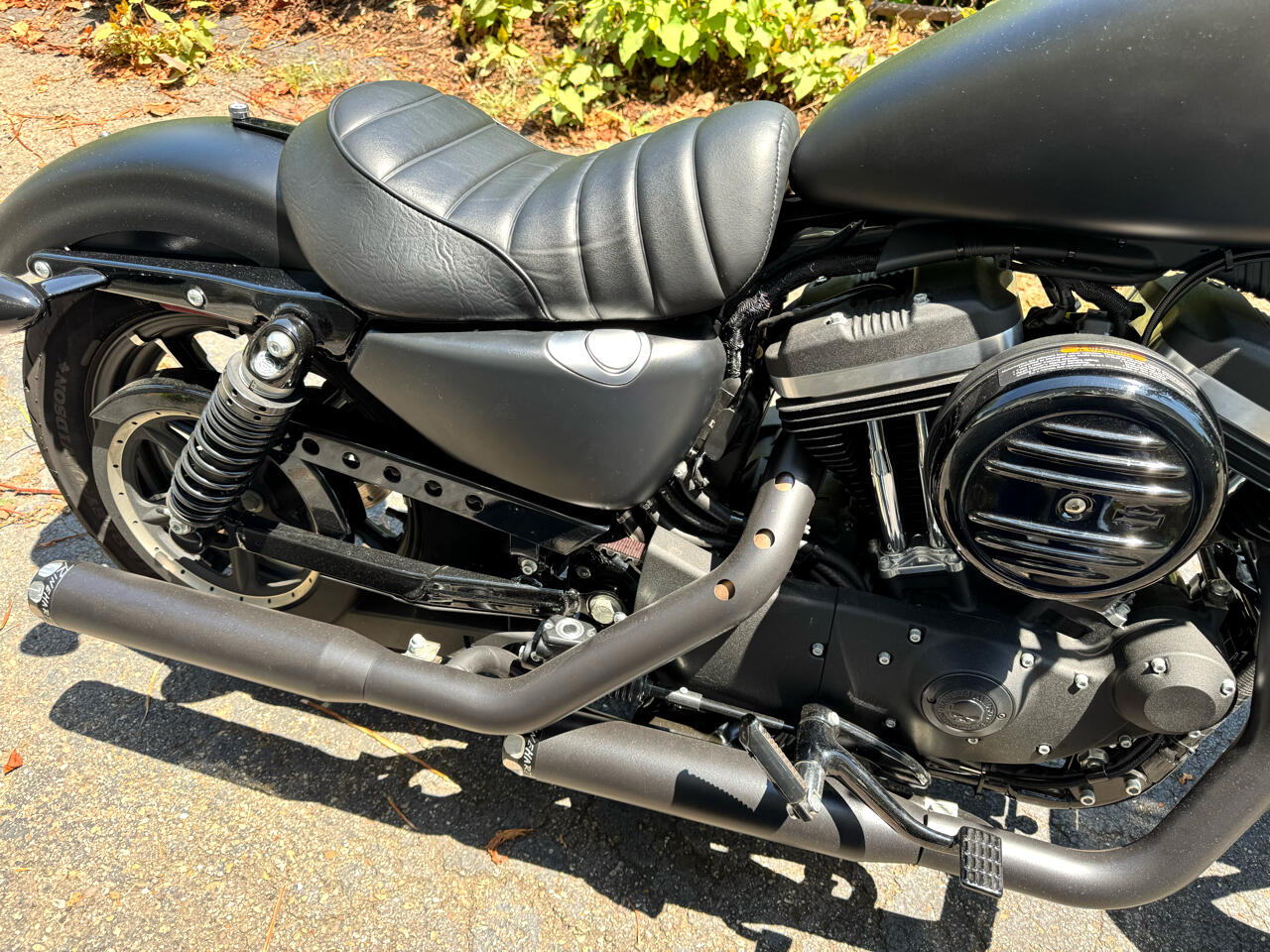 Harley-Davidson XL883N  2020 Harley-Davidson XL883N  2020