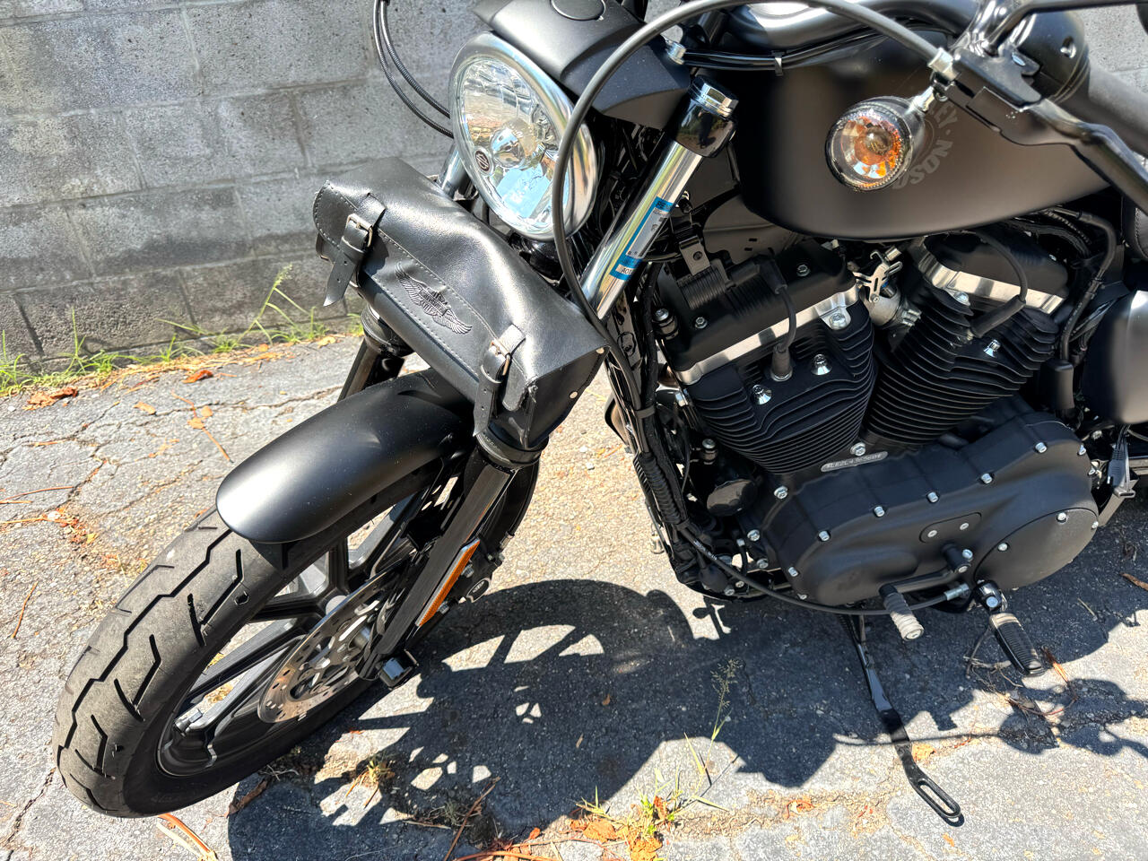Harley-Davidson XL883N  2020 Harley-Davidson XL883N  2020