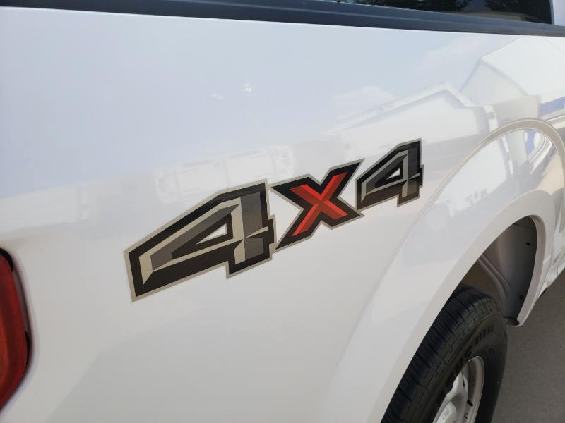 Ford F-150 XL SuperCrew 5.5-ft. Bed 4WD 2019