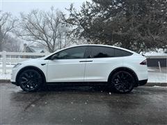2019 Tesla Model X 