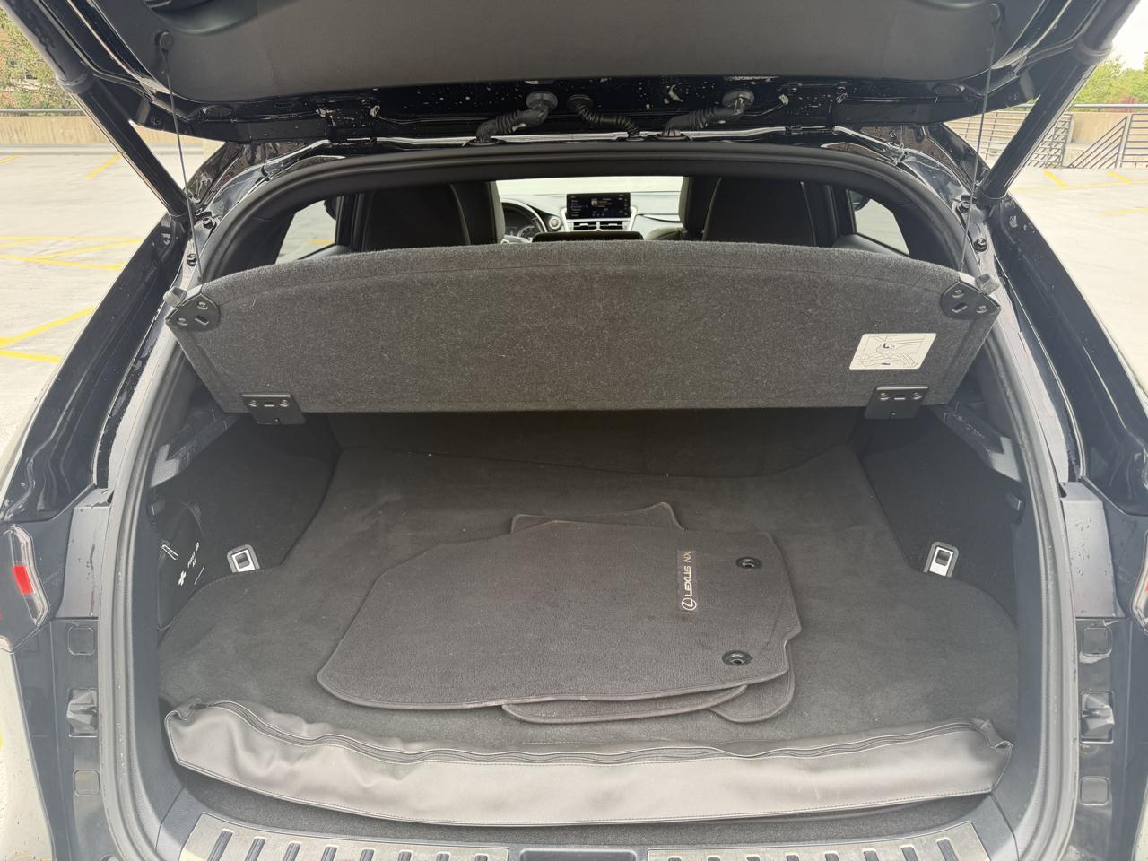 Lexus NX 300 F SPORT AWD 2020