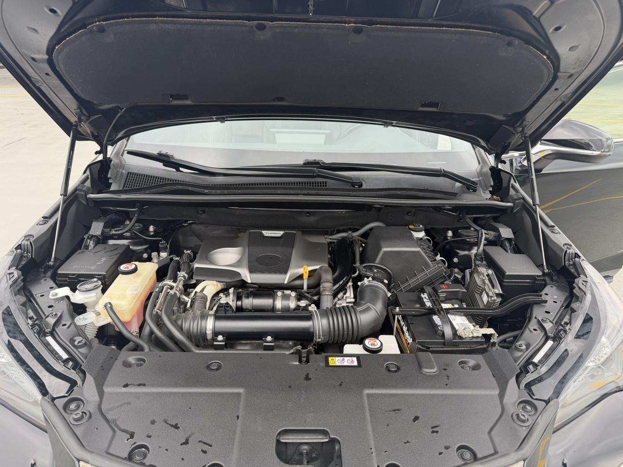 Lexus NX 300 F SPORT AWD 2020