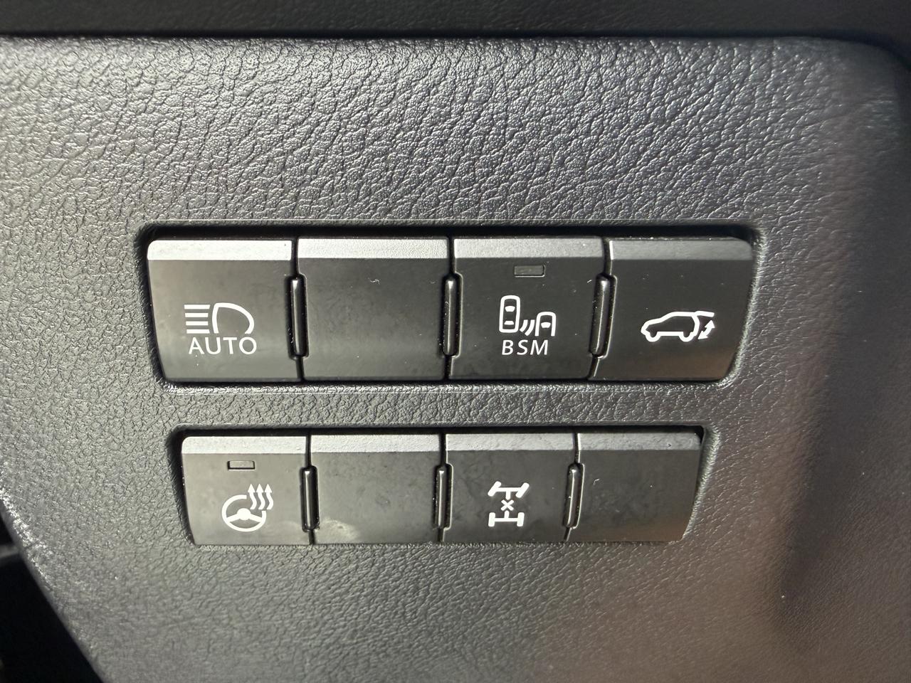 Lexus NX 300 F SPORT AWD 2020