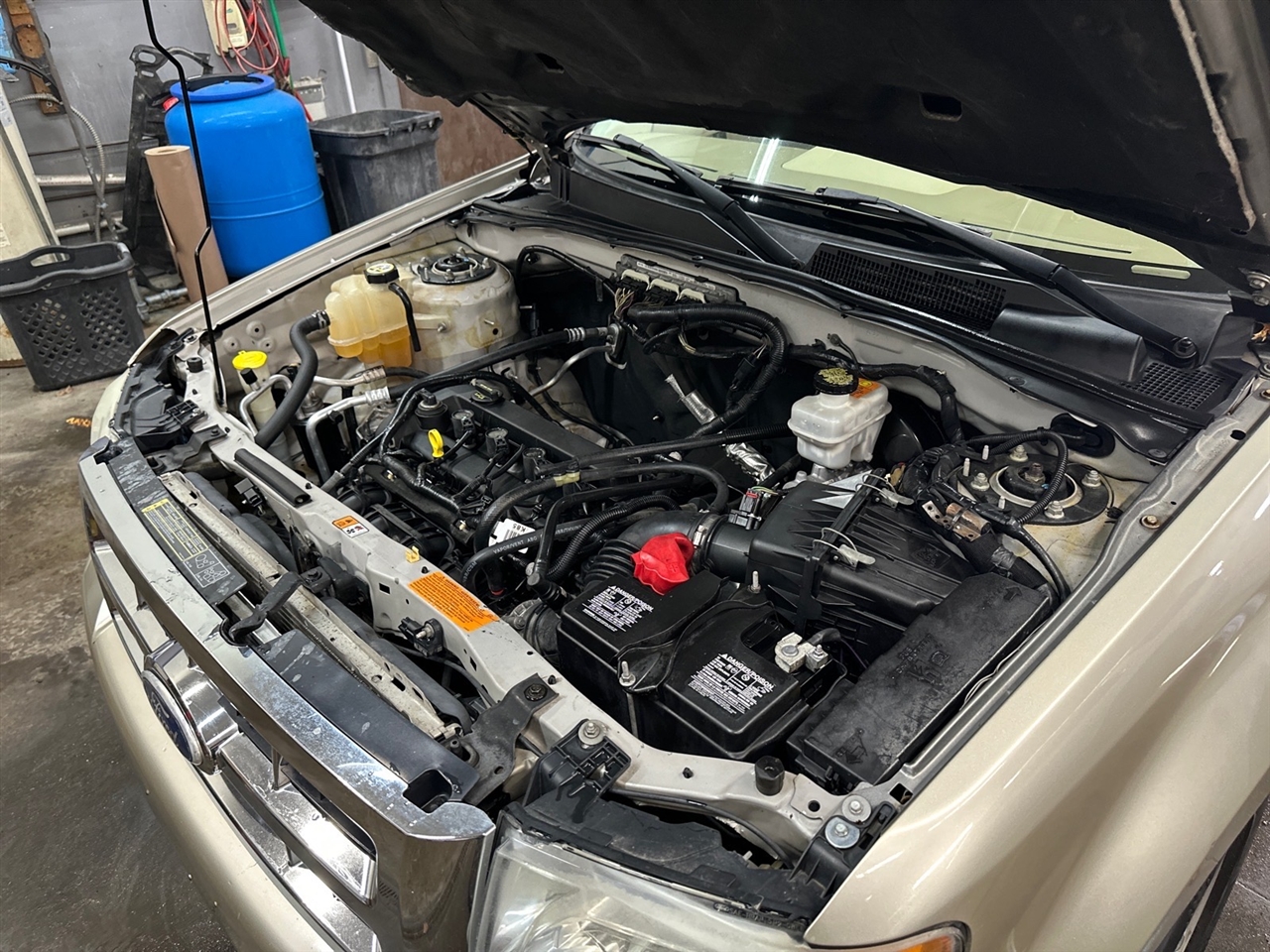 Ford Escape FWD 4dr XLT 2010