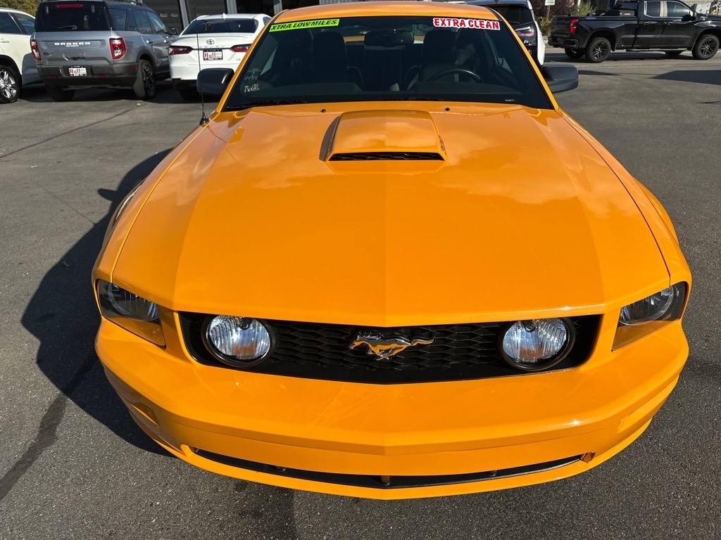 Ford Mustang 2dr Cpe GT Deluxe 2007 Ford Mustang 2dr Cpe GT Deluxe 2007