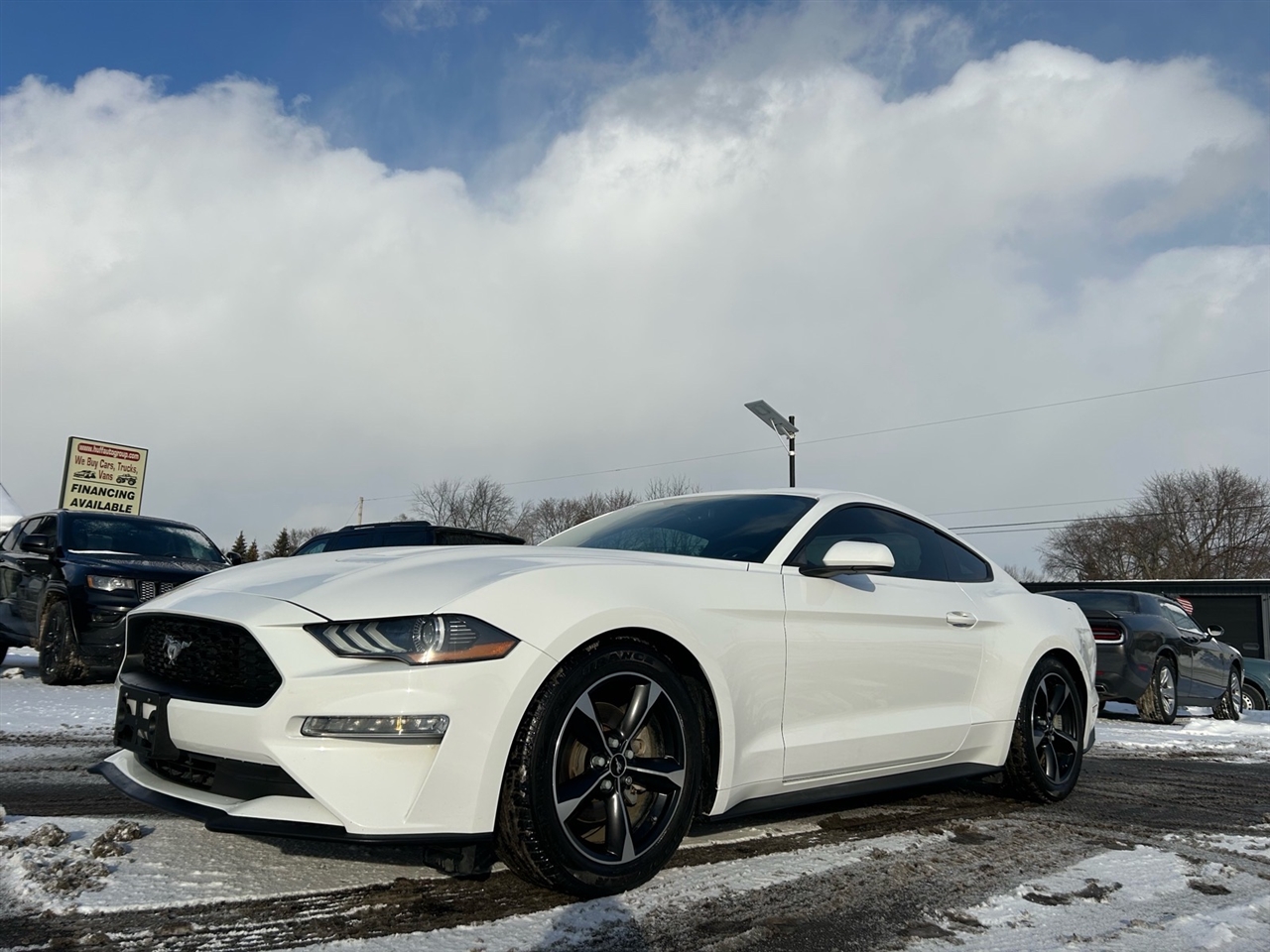 Ford Mustang EcoBoost Fastback 2018