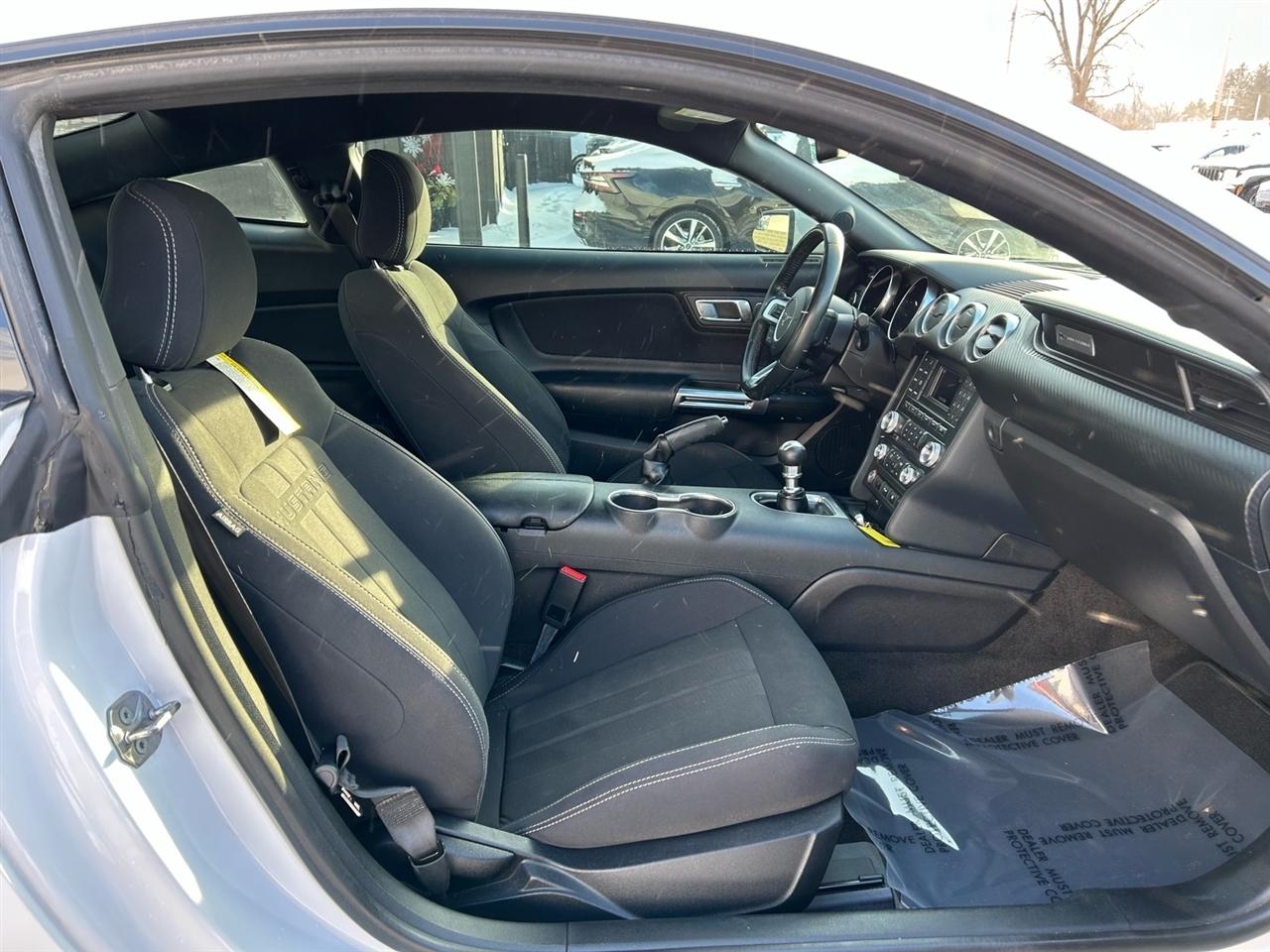 Ford Mustang EcoBoost Fastback 2018