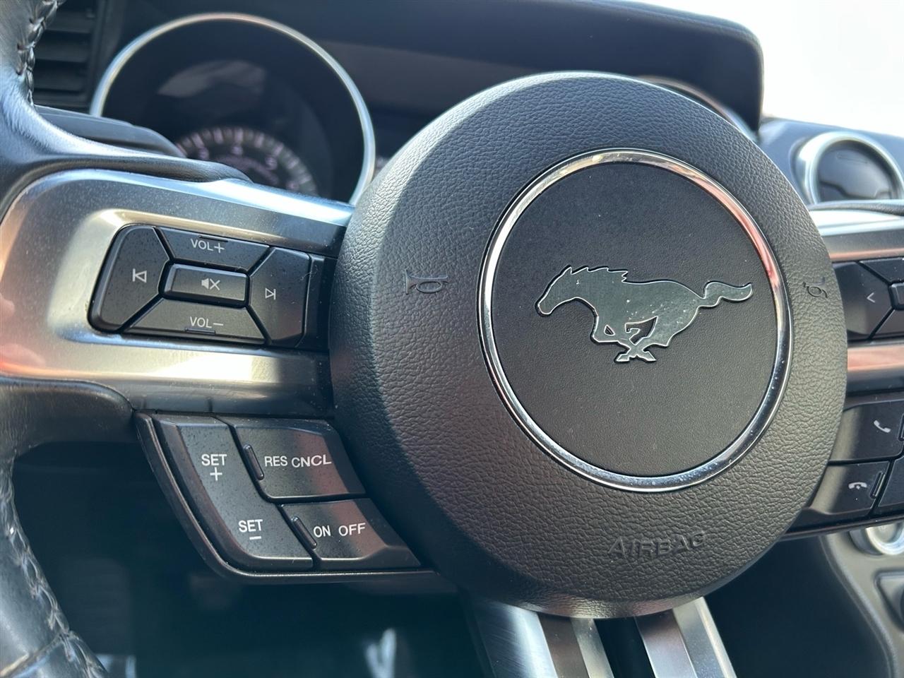 Ford Mustang EcoBoost Fastback 2018