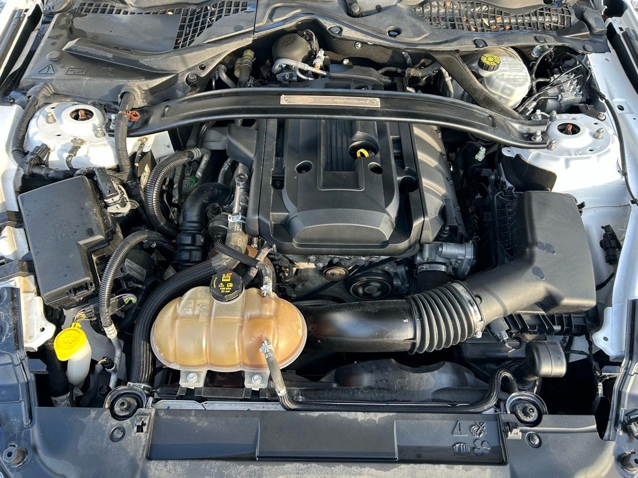 Ford Mustang EcoBoost Fastback 2018