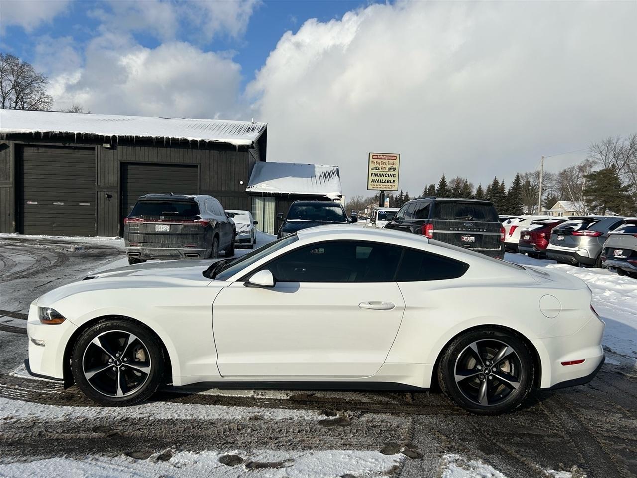 Ford Mustang EcoBoost Fastback 2018