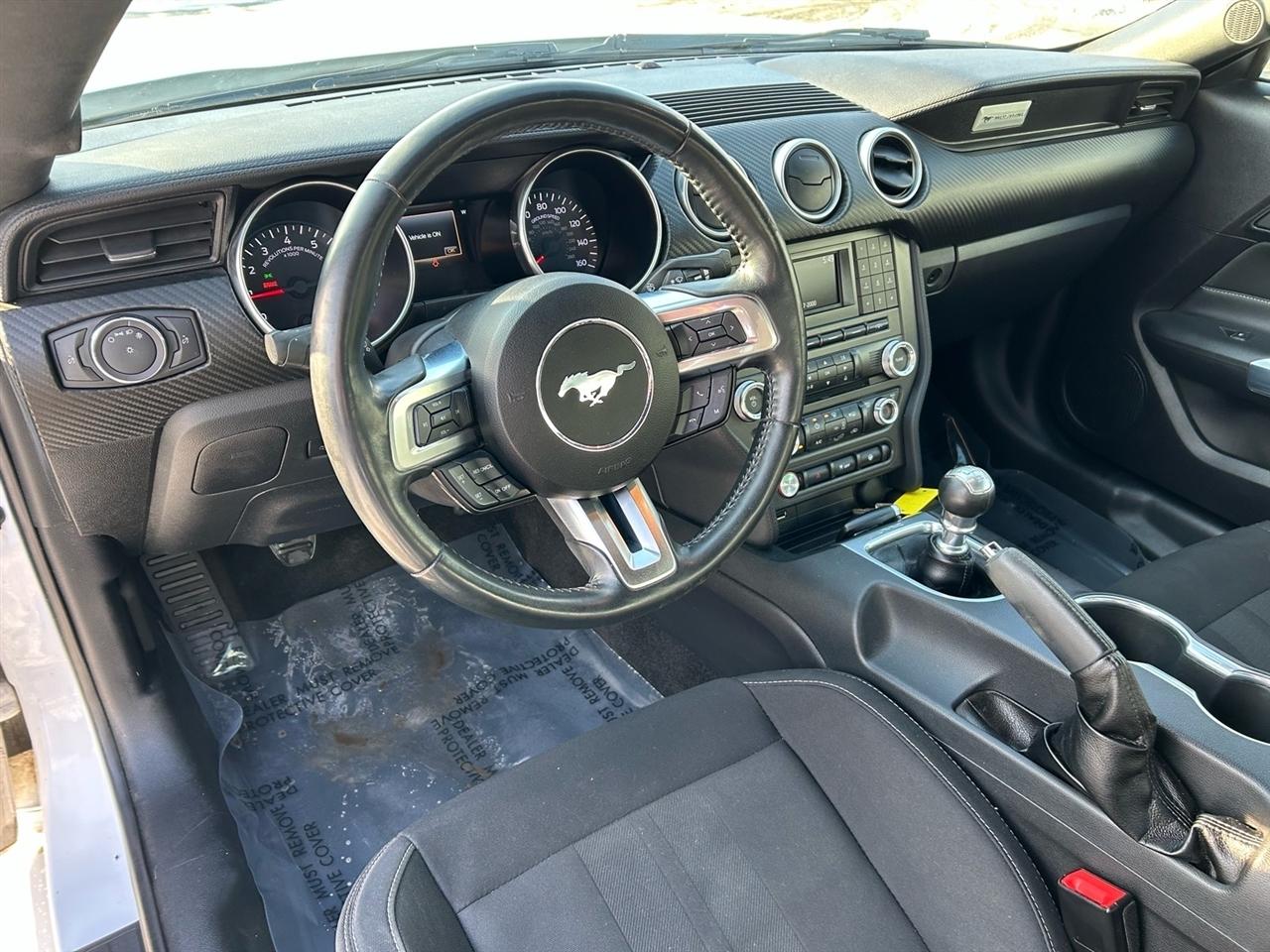 Ford Mustang EcoBoost Fastback 2018
