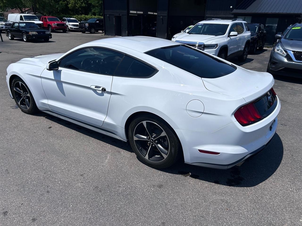Ford Mustang EcoBoost Fastback 2018