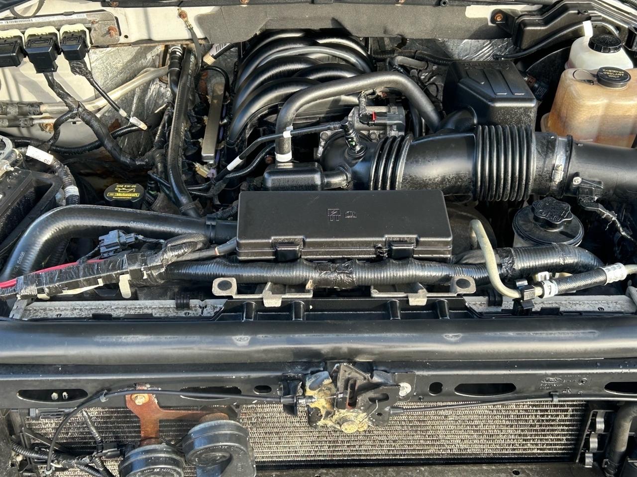 Ford F-150 4WD SuperCrew 145" XLT 2010