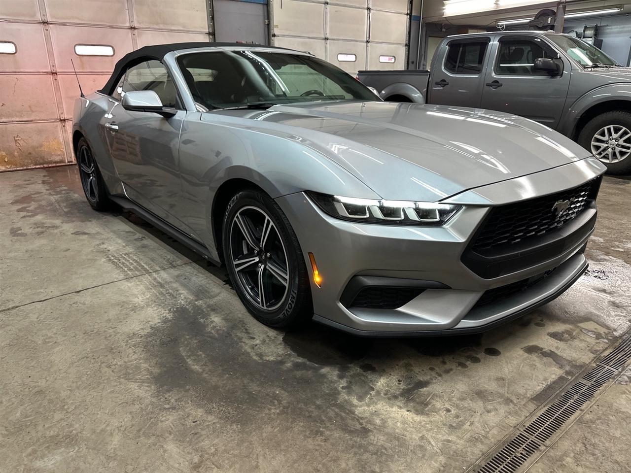 Ford Mustang EcoBoost Convertible 2024