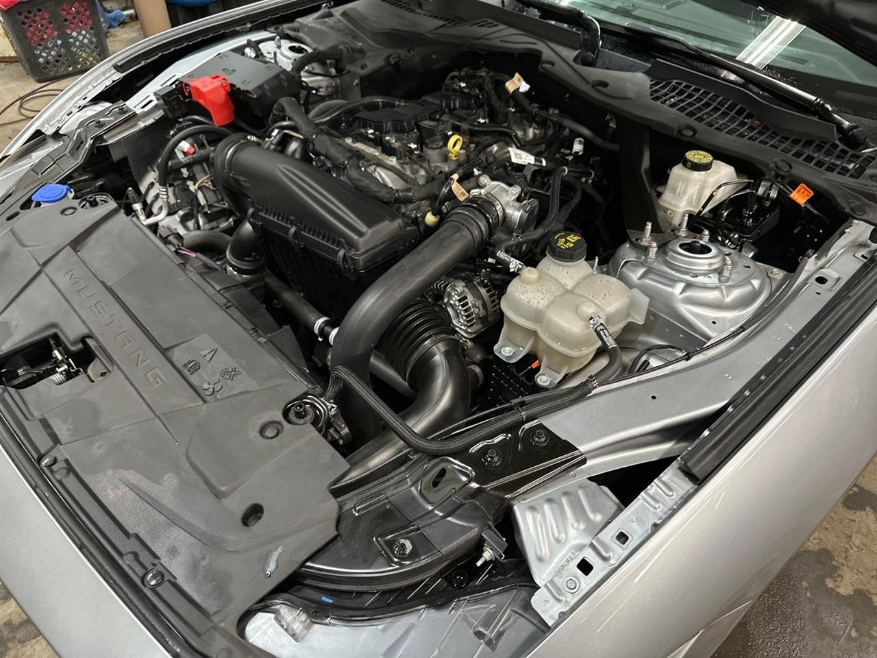 Ford Mustang EcoBoost Convertible 2024