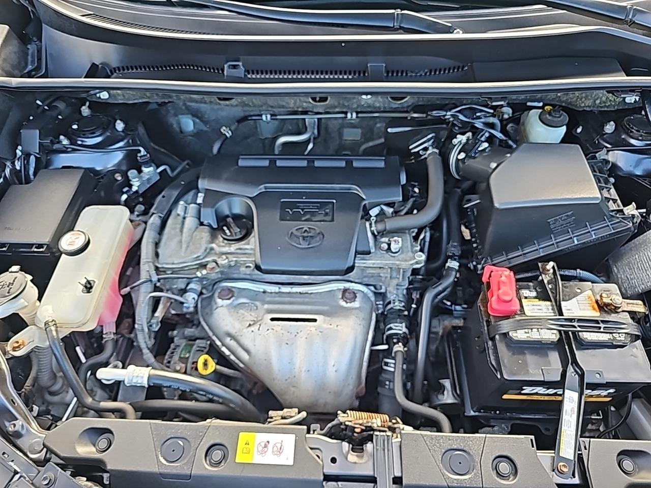 Toyota RAV4 XLE AWD (Natl) 2017