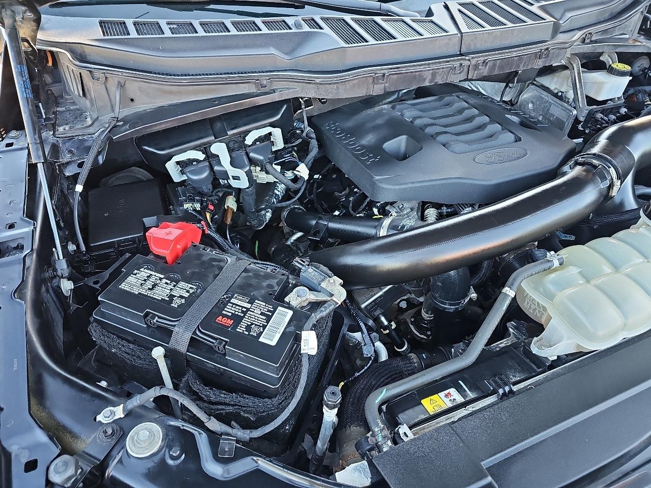 Ford F-150 XLT 4WD SuperCrew 5.5' Box 2021