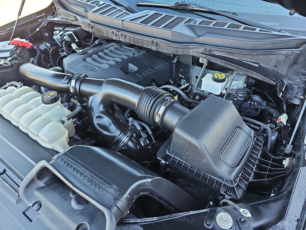 Ford F-150 XLT 4WD SuperCrew 5.5' Box 2021