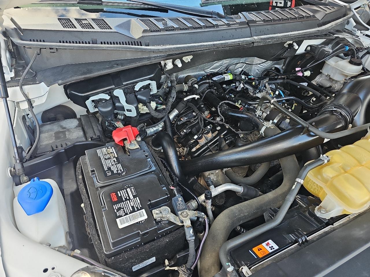Ford F-150 XLT 4WD SuperCrew 5.5' Box 2020