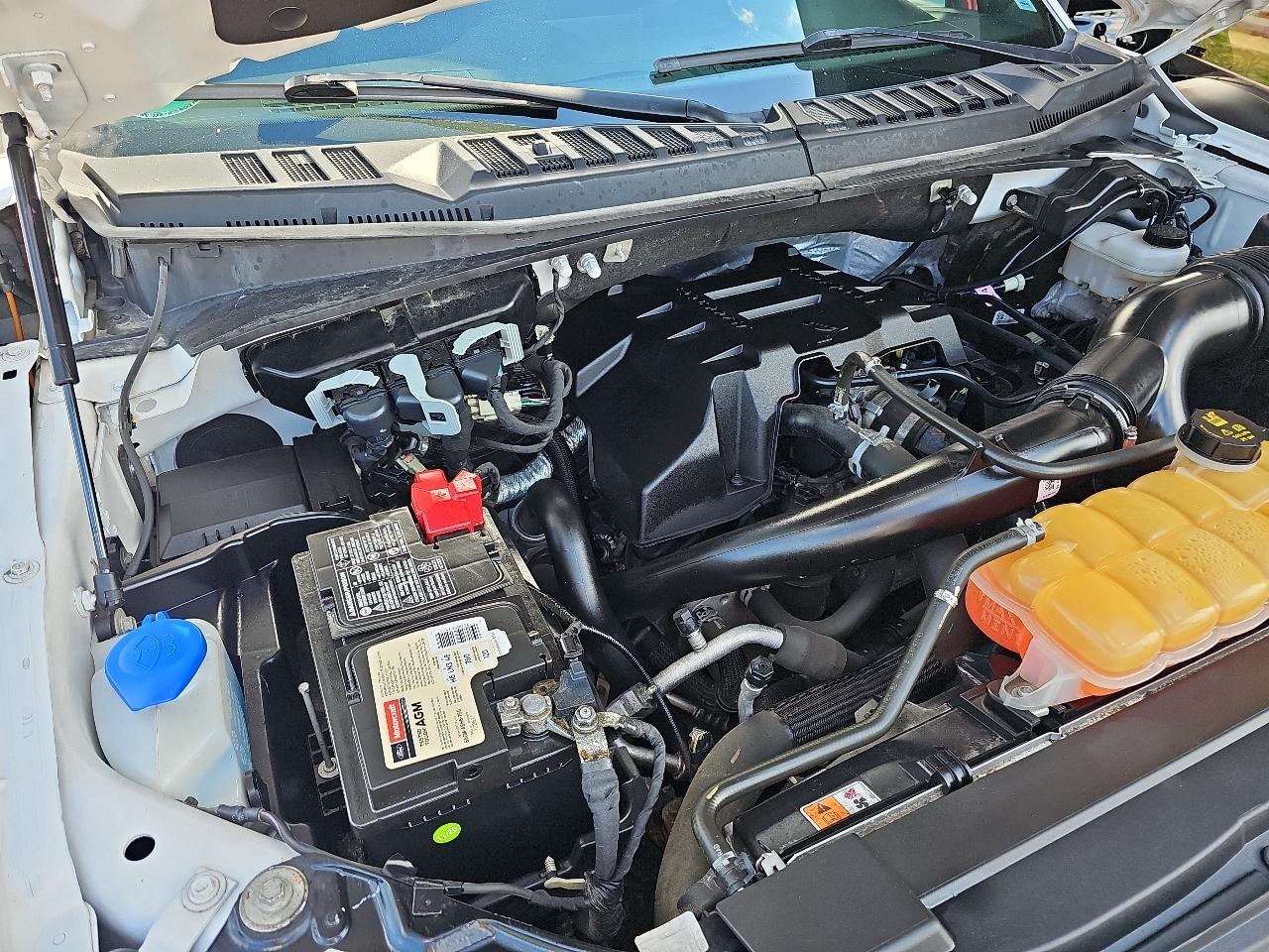 Ford F-150 XLT 4WD SuperCrew 5.5' Box 2018