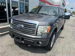 2010 Ford F-150 
