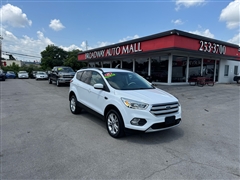2019 Ford Escape  2019 Ford Escape