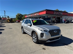 2021 Hyundai Palisade  2021 Hyundai Palisade