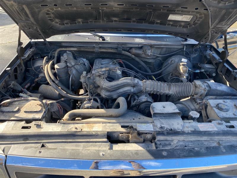 Ford F-150 Special Reg. Cab Short Bed 2WD 1995 Ford F-150 Special Reg. Cab Short Bed 2WD 1995