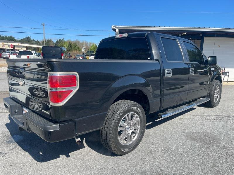 Ford F-150 2WD SuperCrew 145" Platinum 2011