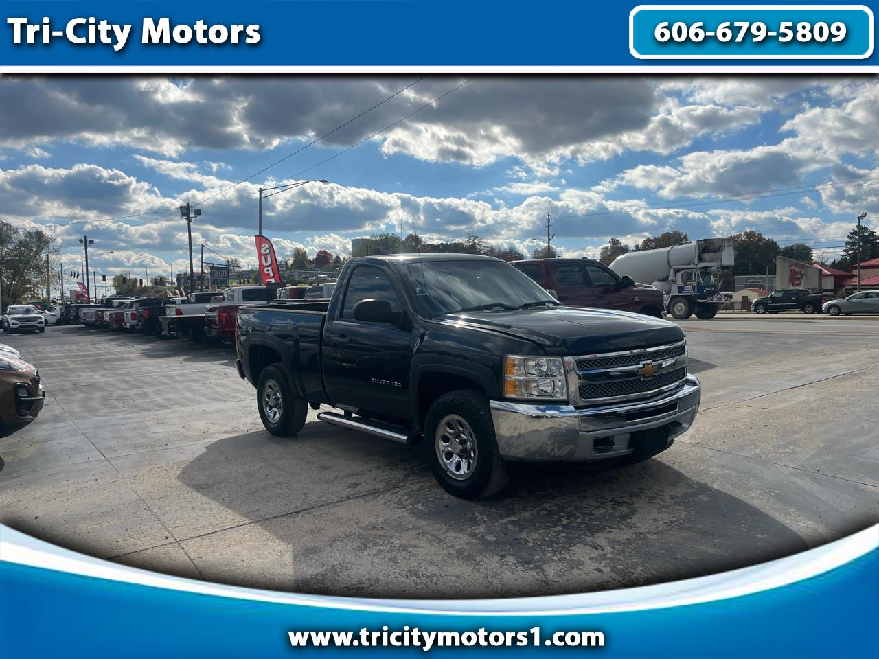 2012 Chevrolet Silverado 1500 4WD Reg Cab 119.0" Work Truck