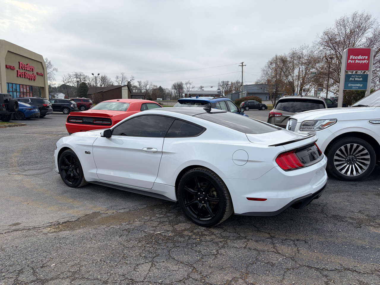 2020 Ford Mustang GT photo 3
