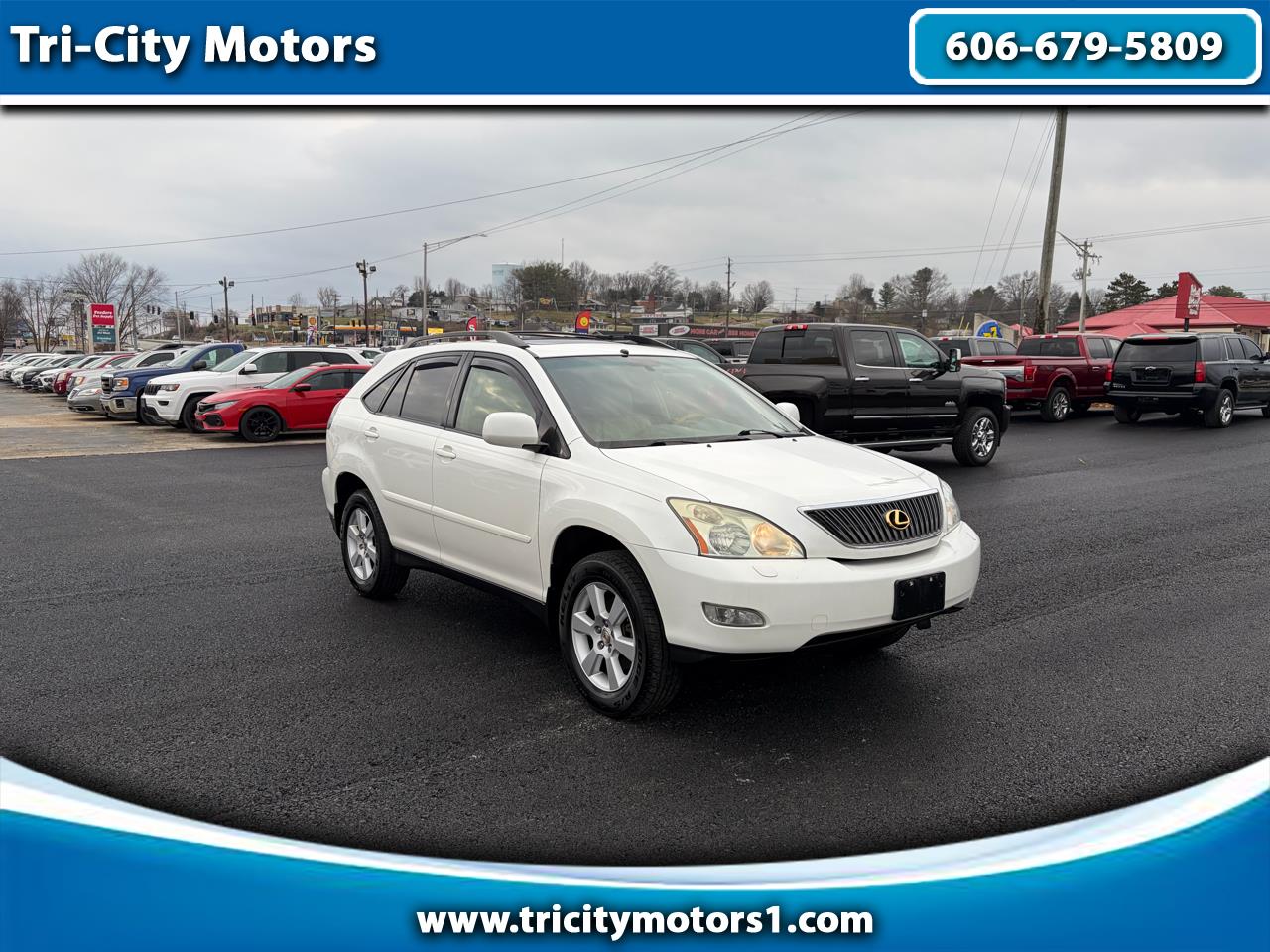 Lexus RX 330 4dr SUV AWD 2004